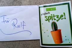 IMG_20230702_210225_1012-scaled