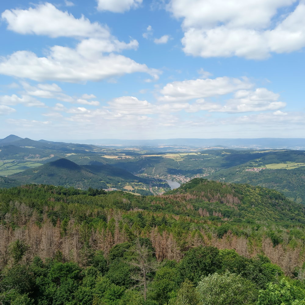 Besucherlimit im Heuscheuergebirge Natursaxe® Exkursionen